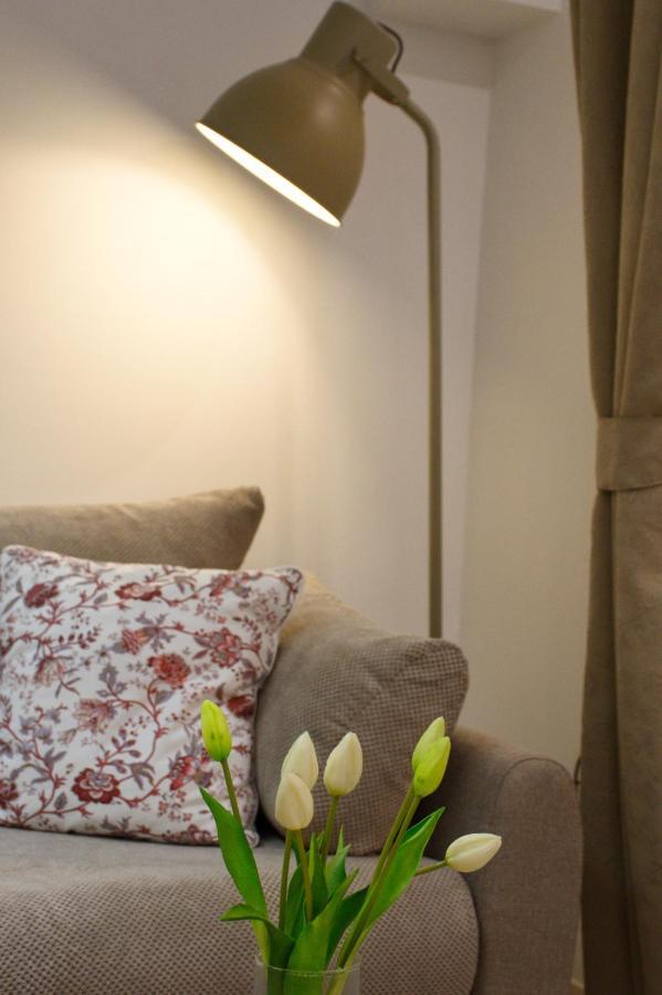 Apartment Anna - Free Pickup From Or Dropoff To Zagreb Airport At Any Time, Please Give Three Days Advance Notice - Long-Term Parking With Airport Transport Possibility Velika Gorica Esterno foto