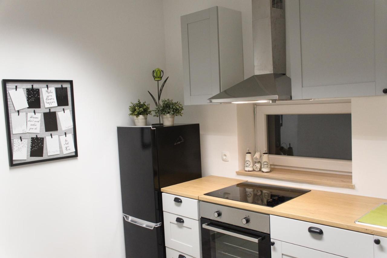 Apartment Anna - Free Pickup From Or Dropoff To Zagreb Airport At Any Time, Please Give Three Days Advance Notice - Long-Term Parking With Airport Transport Possibility Velika Gorica Esterno foto